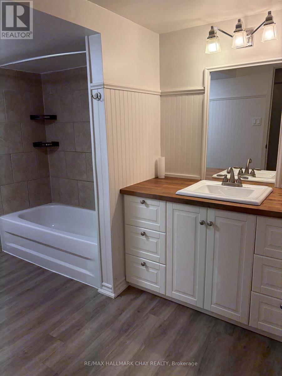 Lower Unit - 10 Oak Street, New Tecumseth, Ontario  L9R 1N1 - Photo 4 - N12472393