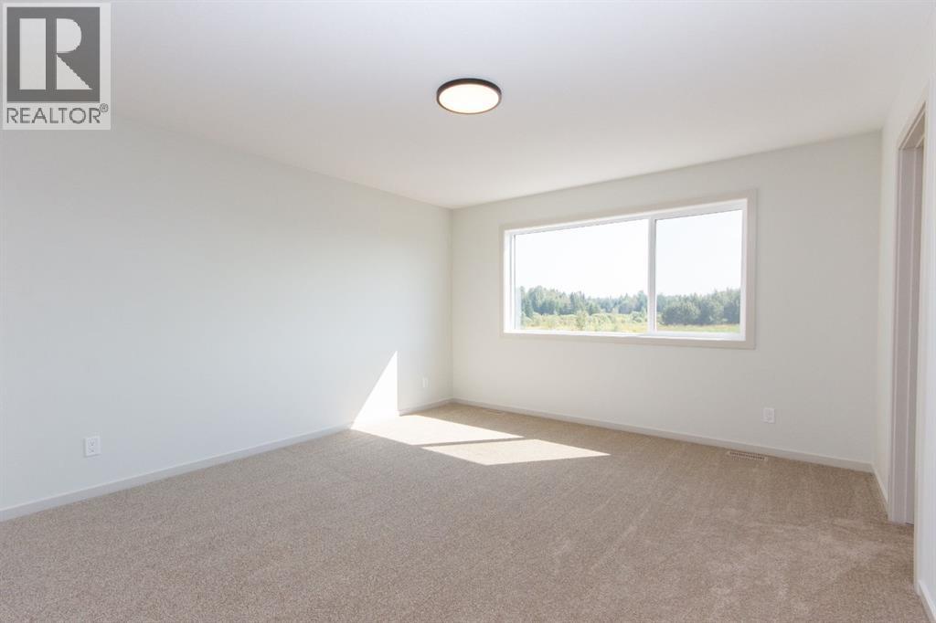 4429 53 Street, Rocky Mountain House, Alberta  T4T 0C3 - Photo 18 - A2256748