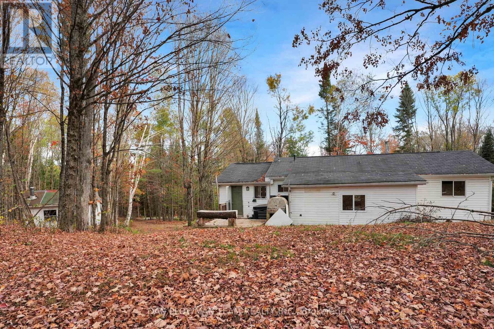 1919 Irondale Road, Highlands East (Glamorgan), Ontario  K0M 2A0 - Photo 12 - X12472399
