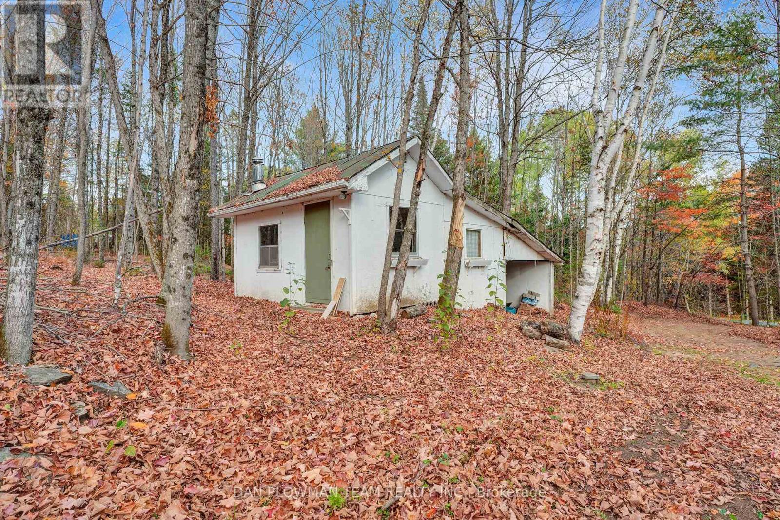 1919 Irondale Road, Highlands East (Glamorgan), Ontario  K0M 2A0 - Photo 31 - X12472399