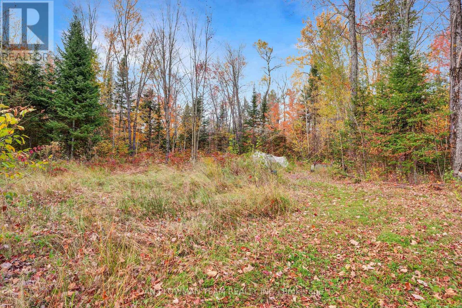 1919 Irondale Road, Highlands East (Glamorgan), Ontario  K0M 2A0 - Photo 7 - X12472399