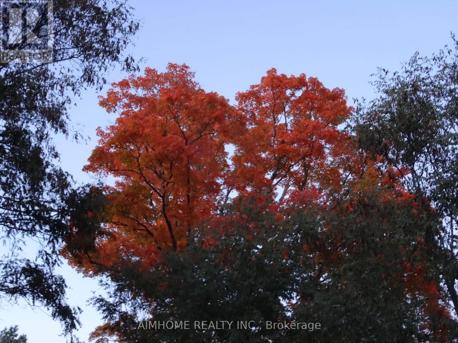 10400 And 10800 6th Concession, Uxbridge, Ontario  L9P 1R2 - Photo 12 - N12081335