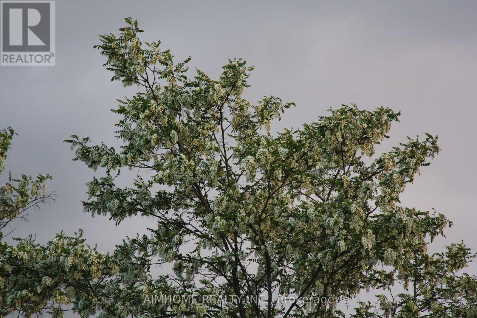 10400 And 10800 6th Concession, Uxbridge, Ontario  L9P 1R2 - Photo 10 - N12081335