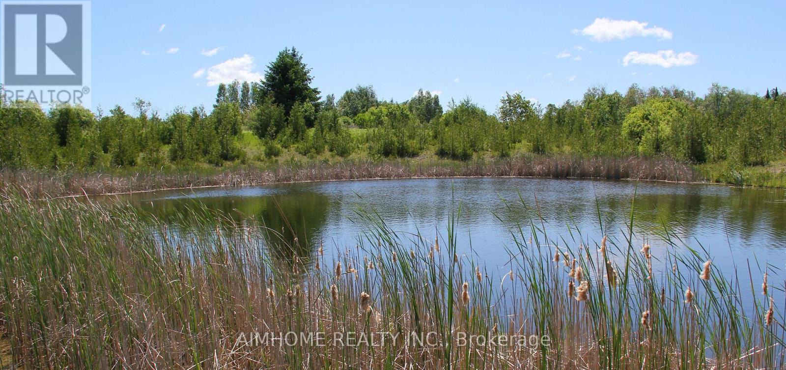 10400 And 10800 6th Concession, Uxbridge, Ontario  L9P 1R2 - Photo 4 - N12081335