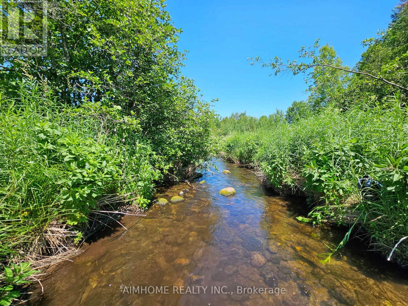 10400 And 10800 6th Concession, Uxbridge, Ontario  L9P 1R2 - Photo 30 - N12081335