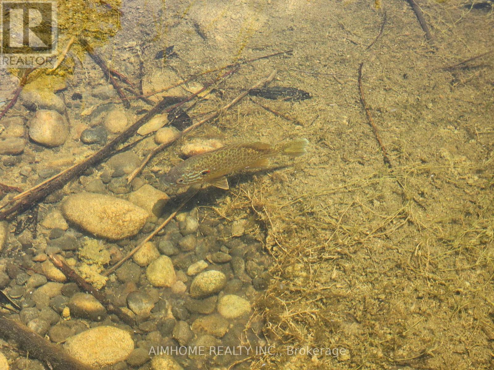 10400 And 10800 6th Concession, Uxbridge, Ontario  L9P 1R2 - Photo 46 - N12081335