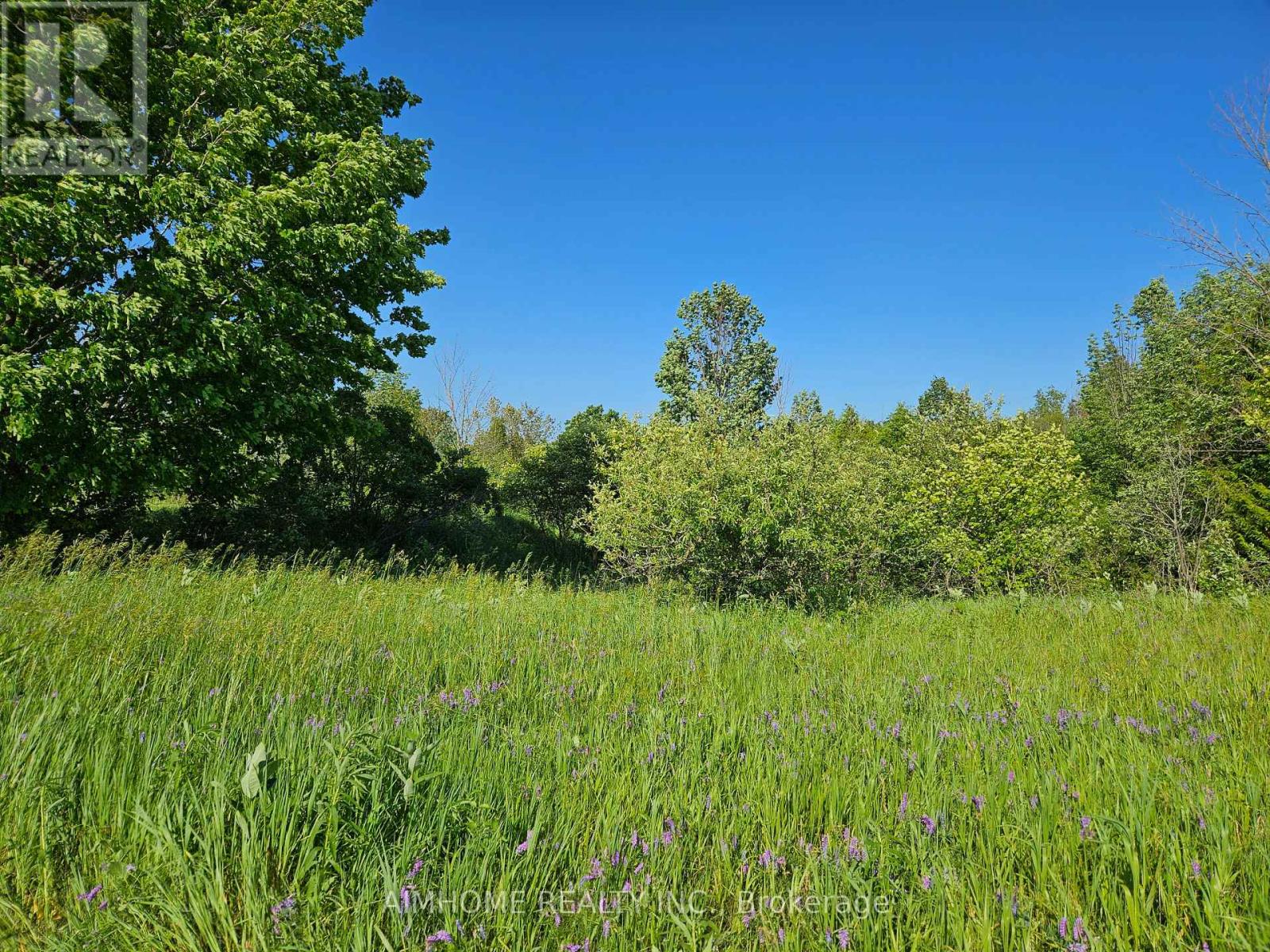 10400 And 10800 6th Concession, Uxbridge, Ontario  L9P 1R2 - Photo 38 - N12081335