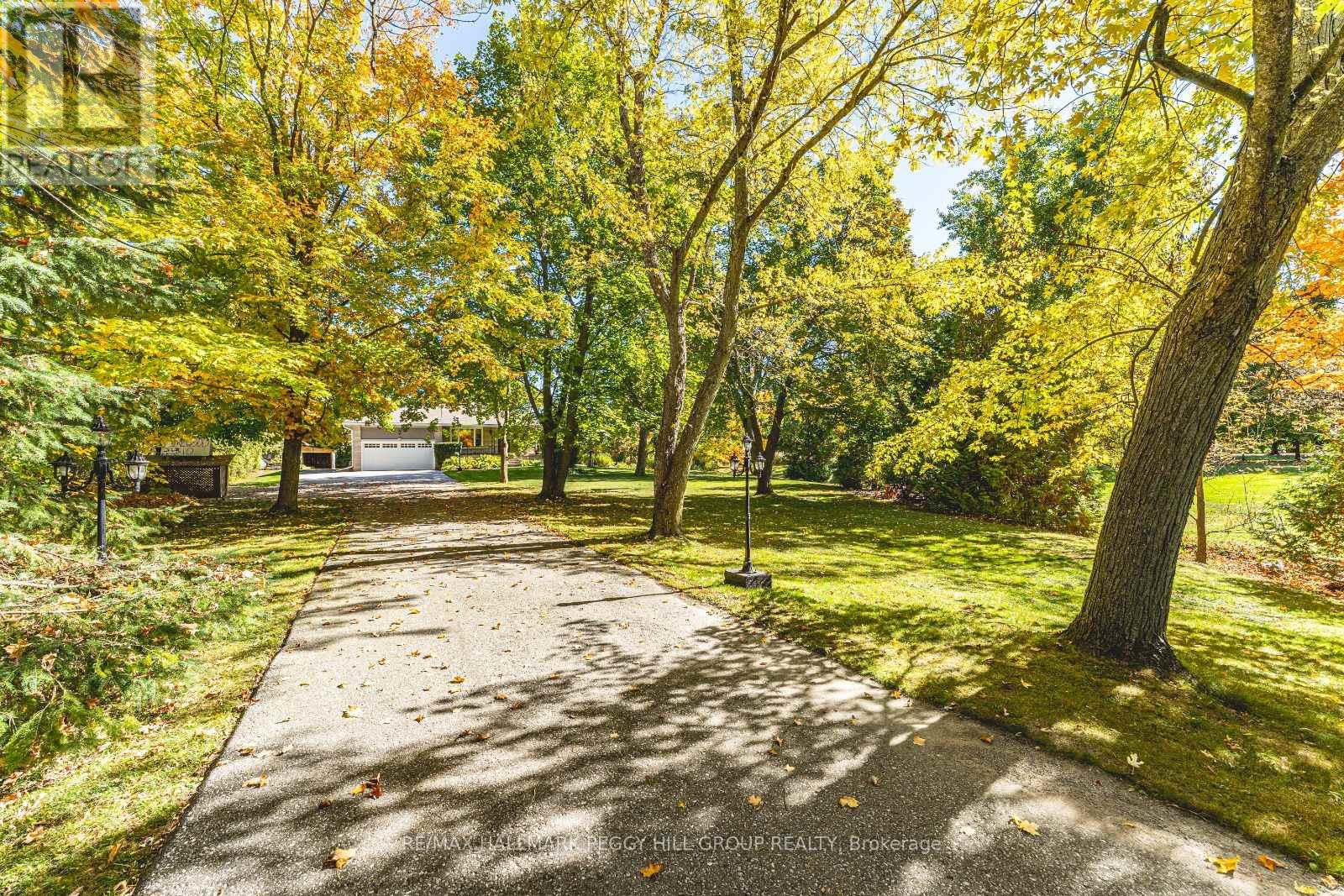 5853 Yonge Street, Innisfil, Ontario  L0L 1K0 - Photo 25 - N12472435