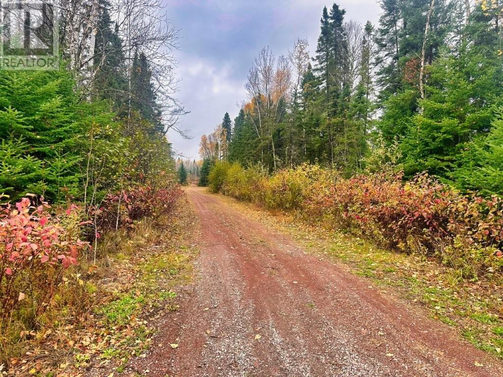 149 Hwy 582, Hurkett Loop Road, Hurkett, Ontario  P0T 1K0 - Photo 17 - TB253271