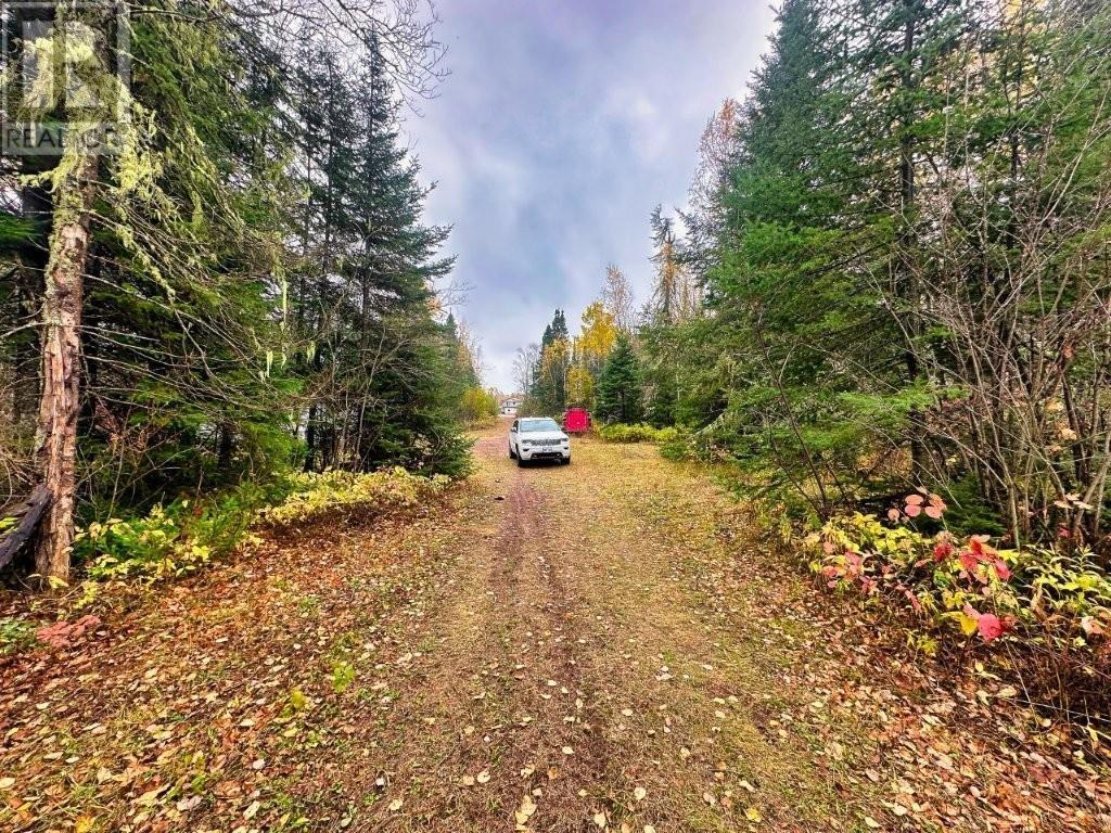149 Hwy 582, Hurkett Loop Road, Hurkett, Ontario  P0T 1K0 - Photo 19 - TB253271