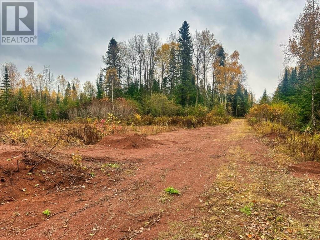 149 Hwy 582, Hurkett Loop Road, Hurkett, Ontario  P0T 1K0 - Photo 23 - TB253271