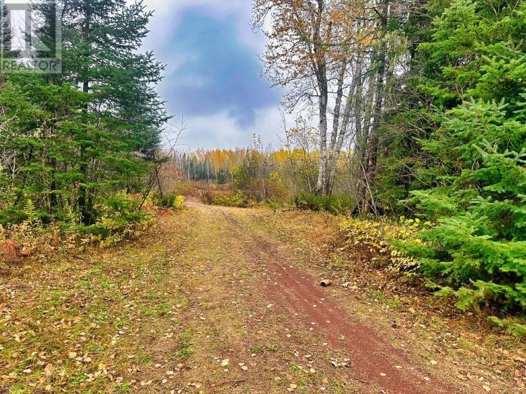 149 Hwy 582, Hurkett Loop Road, Hurkett, Ontario  P0T 1K0 - Photo 30 - TB253271