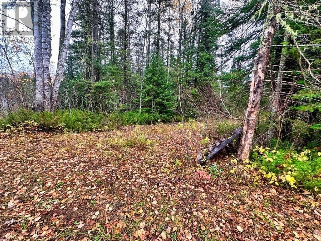 149 Hwy 582, Hurkett Loop Road, Hurkett, Ontario  P0T 1K0 - Photo 31 - TB253271