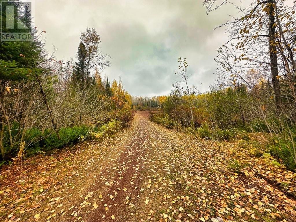 149 Hwy 582, Hurkett Loop Road, Hurkett, Ontario  P0T 1K0 - Photo 32 - TB253271