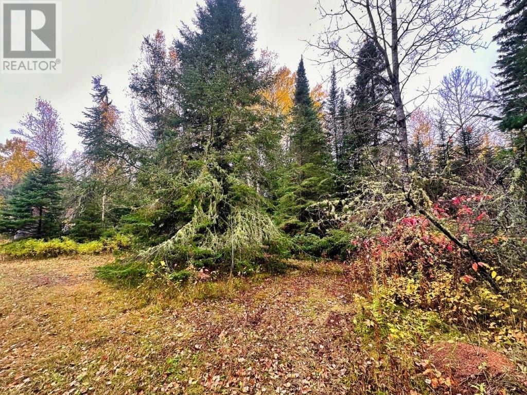 149 Hwy 582, Hurkett Loop Road, Hurkett, Ontario  P0T 1K0 - Photo 33 - TB253271