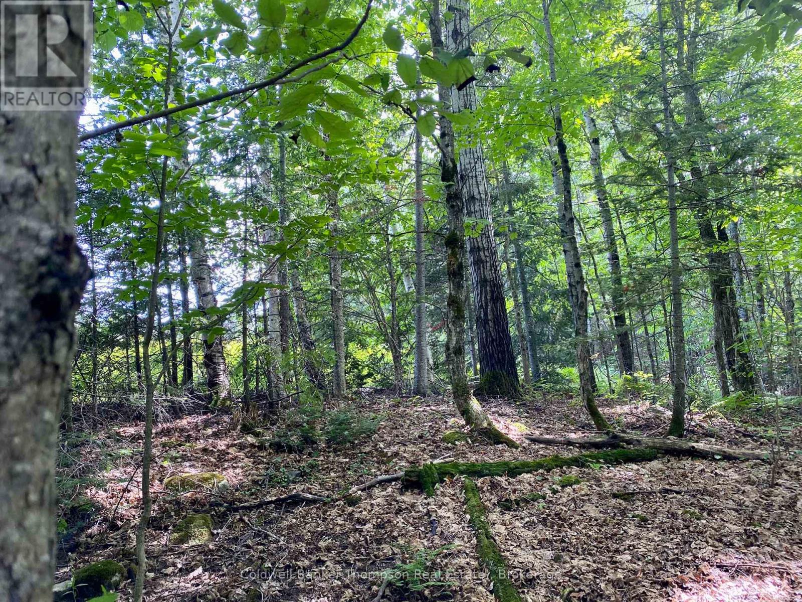 Lot 6-B 522 Highway W, Parry Sound Remote Area, Ontario  P0H 1S0 - Photo 11 - X12472604