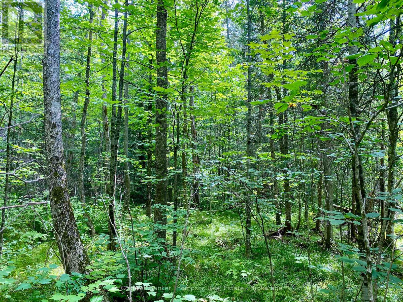 Lot 6-B 522 Highway W, Parry Sound Remote Area, Ontario  P0H 1S0 - Photo 12 - X12472604