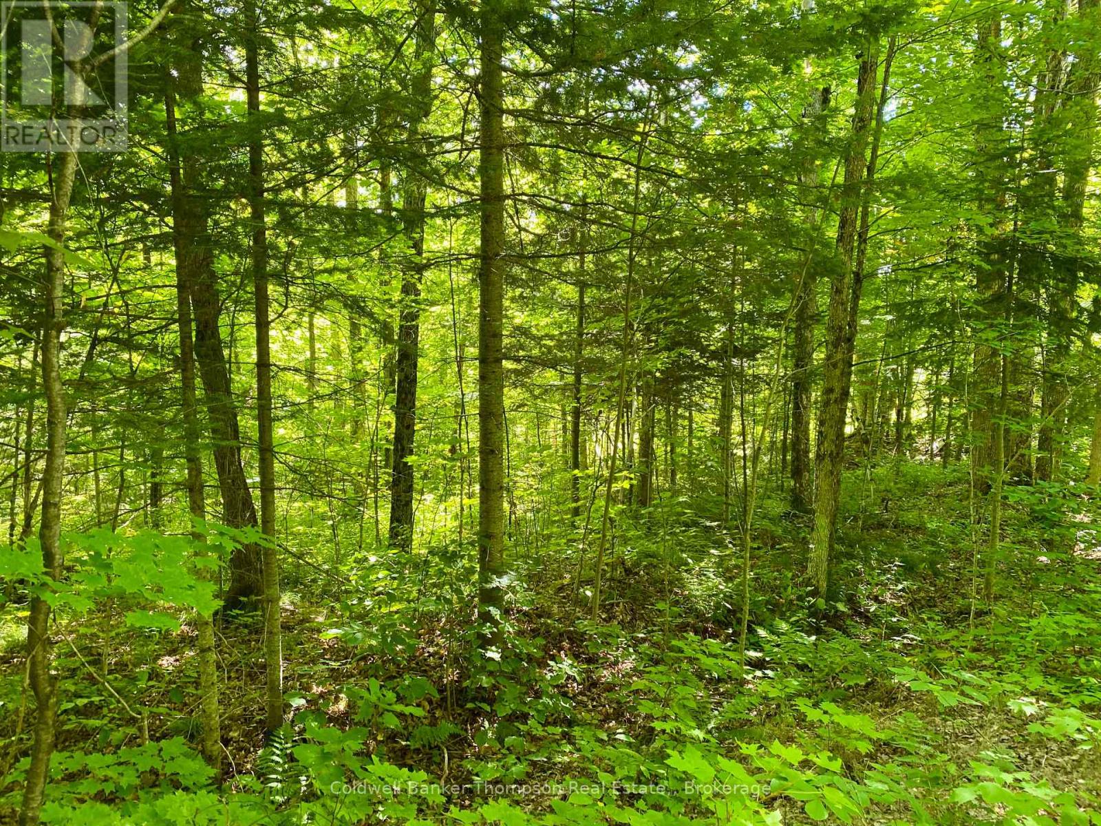Lot 6-B 522 Highway W, Parry Sound Remote Area, Ontario  P0H 1S0 - Photo 15 - X12472604