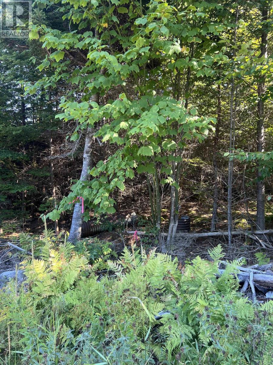 Lot A9 Myers Point Road, Head Of Jeddore, Nova Scotia  B0J 1P0 - Photo 24 - 202524182