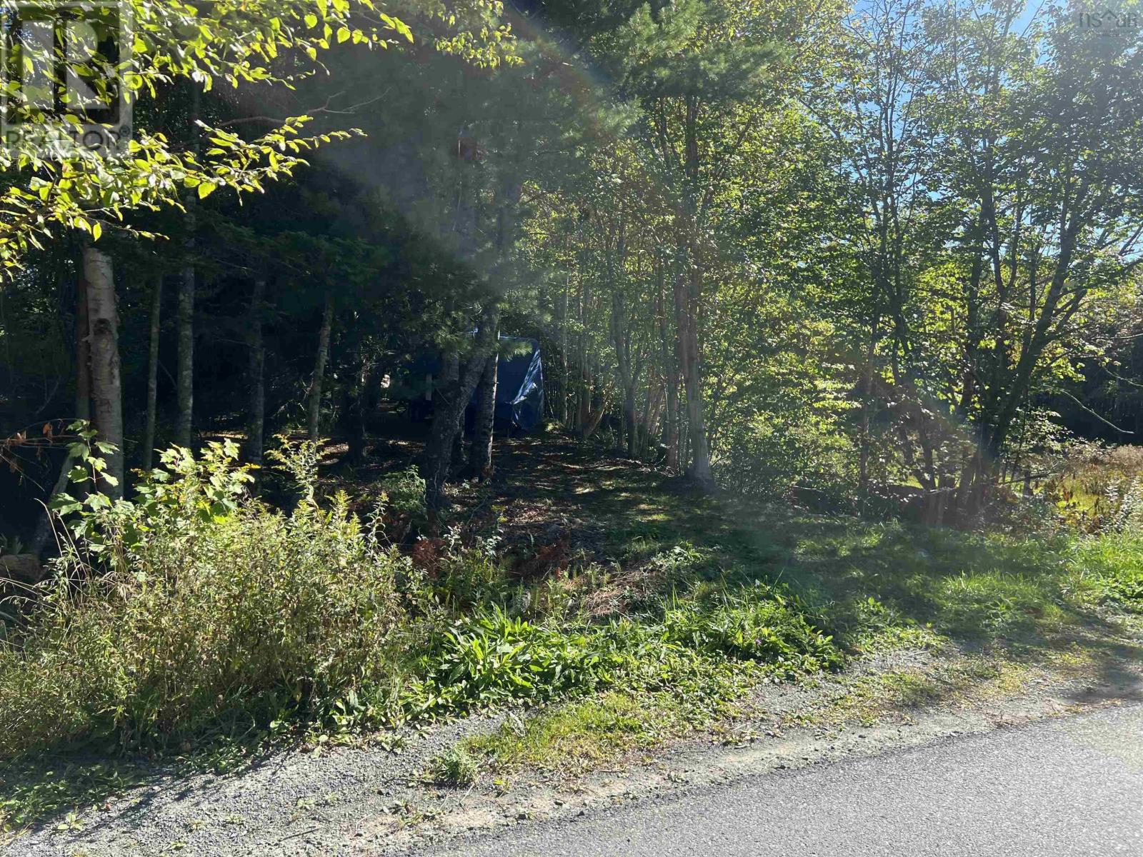 Lot A9 Myers Point Road, Head Of Jeddore, Nova Scotia  B0J 1P0 - Photo 9 - 202524182