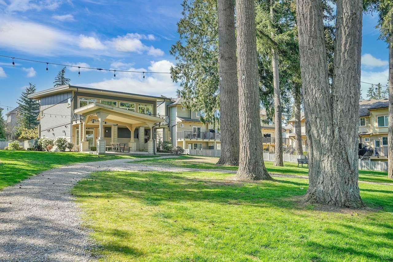 54 5957 152 Street, Surrey, British Columbia  V3S 3K4 - Photo 36 - R3060190