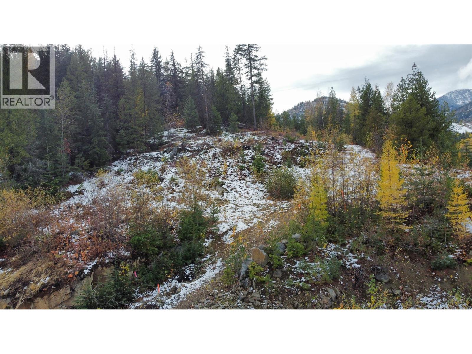 Lot C Richie Road, Rossland, British Columbia  V0G 1Y0 - Photo 5 - 10366346