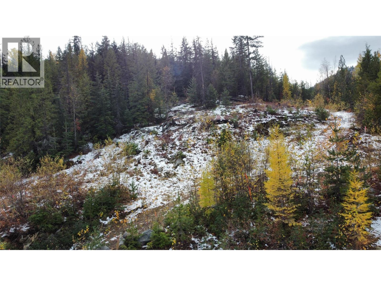 Lot C Richie Road, Rossland, British Columbia  V0G 1Y0 - Photo 15 - 10366346