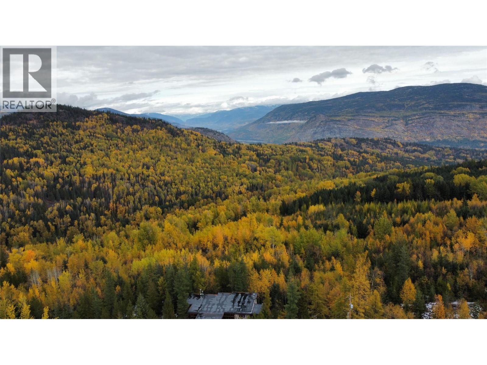 Lot C Richie Road, Rossland, British Columbia  V0G 1Y0 - Photo 21 - 10366346