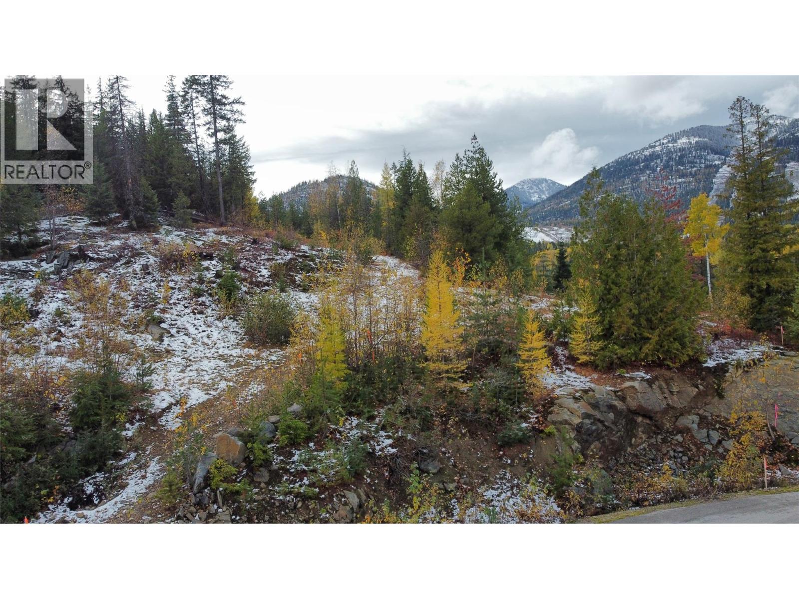 Lot C Richie Road, Rossland, British Columbia  V0G 1Y0 - Photo 4 - 10366346