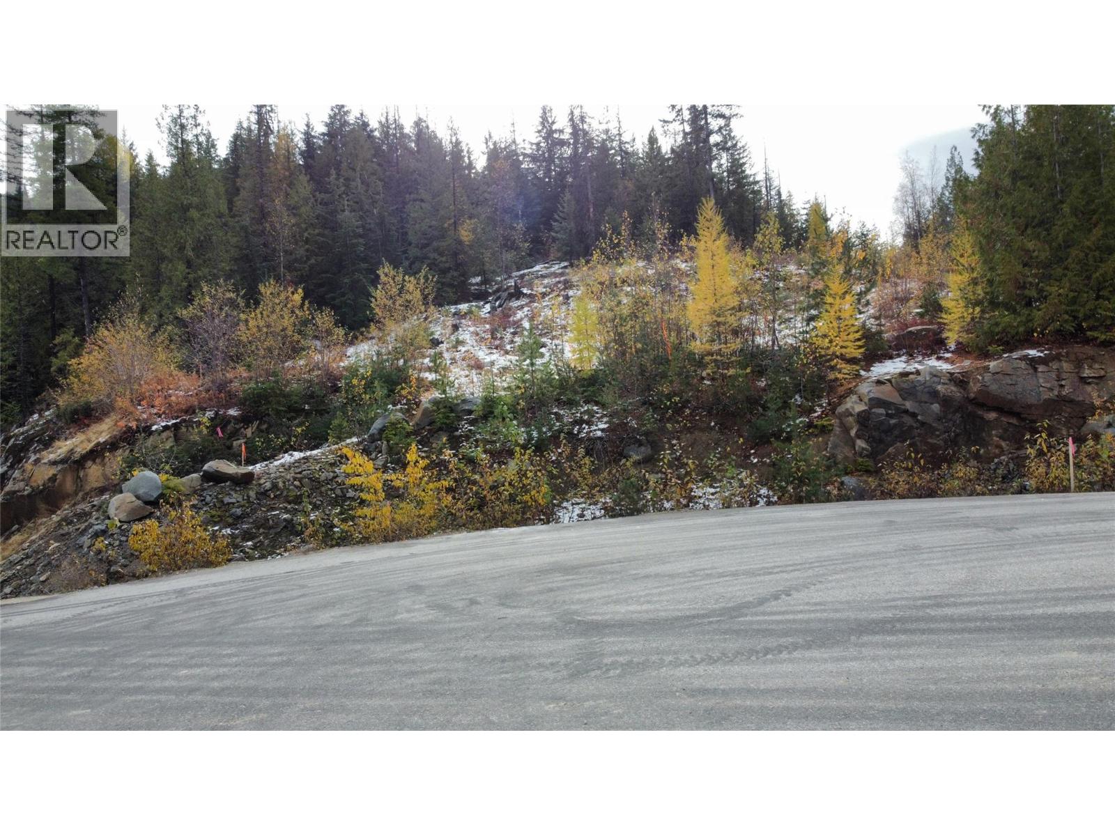 Lot C Richie Road, Rossland, British Columbia  V0G 1Y0 - Photo 14 - 10366346
