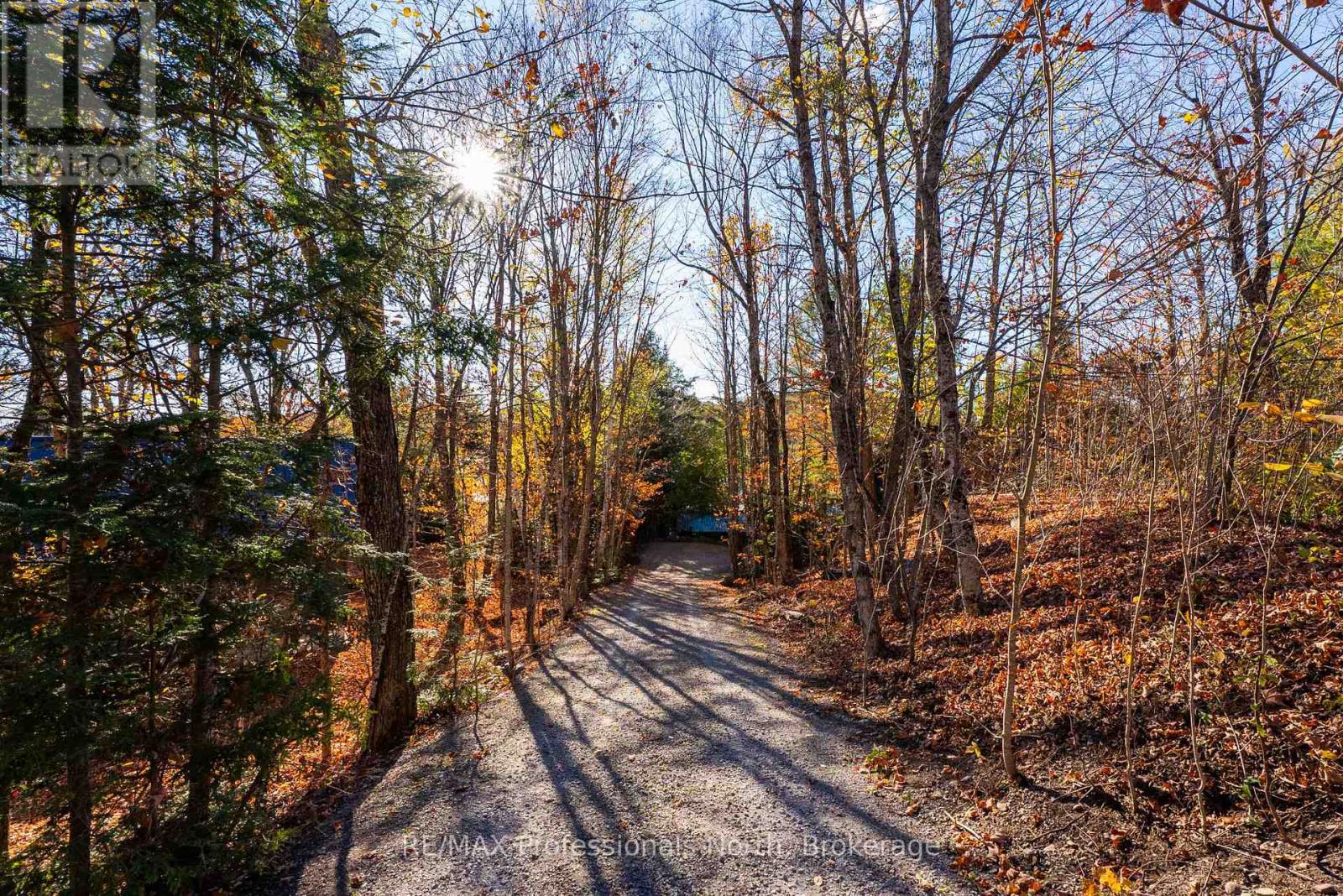 1289 Watts Road, Dysart Et Al, Ontario  K0M 1S0 - Photo 6 - X12472747