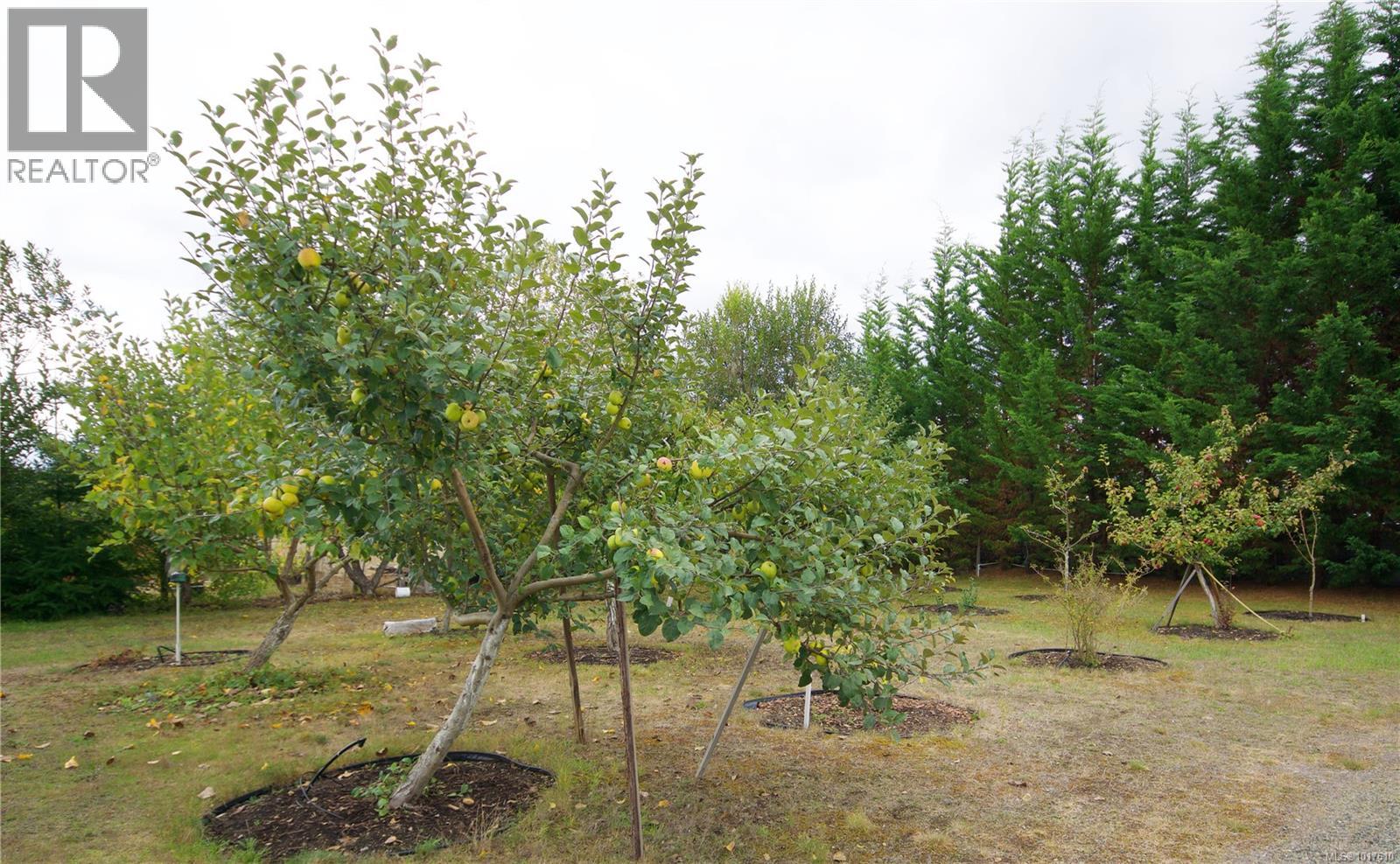 2040 Sun King Rd, Coombs, British Columbia  V0R 1M0 - Photo 34 - 1017610