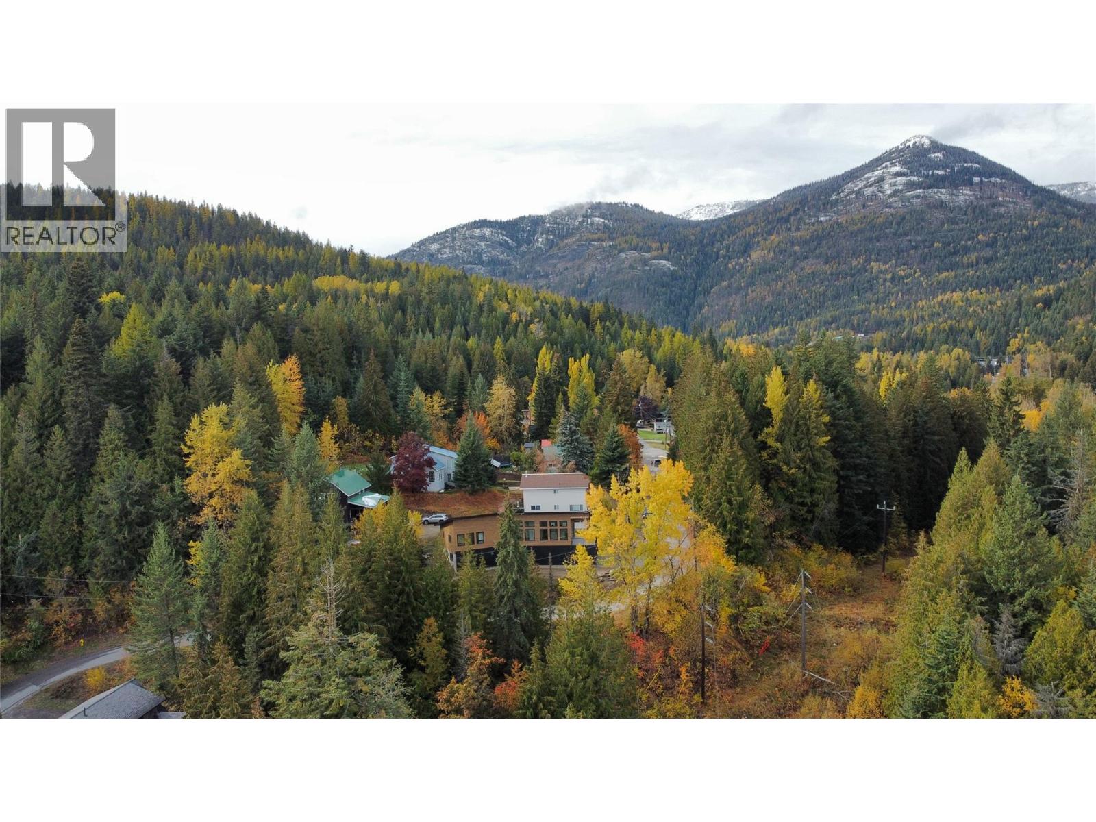 1572 Treadwell Street, Rossland, British Columbia  V0G 1Y0 - Photo 57 - 10363192