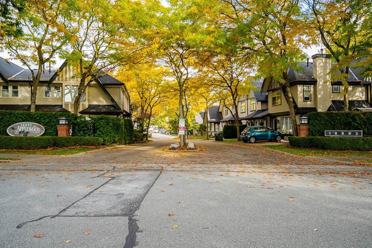 45 18883 65 Avenue, Surrey, British Columbia  V3S 8Y2 - Photo 39 - R3060269