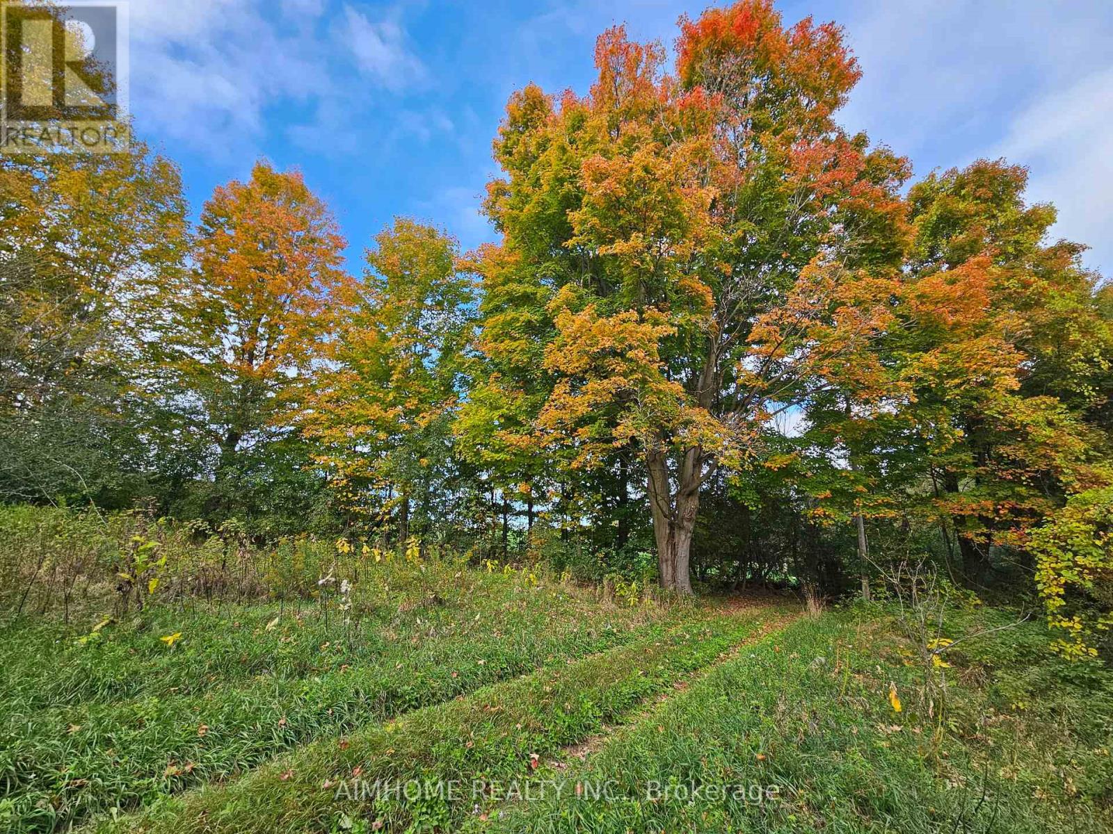 10400 And 10800 6th Concession, Uxbridge, Ontario  L9P 1R2 - Photo 49 - N12081335