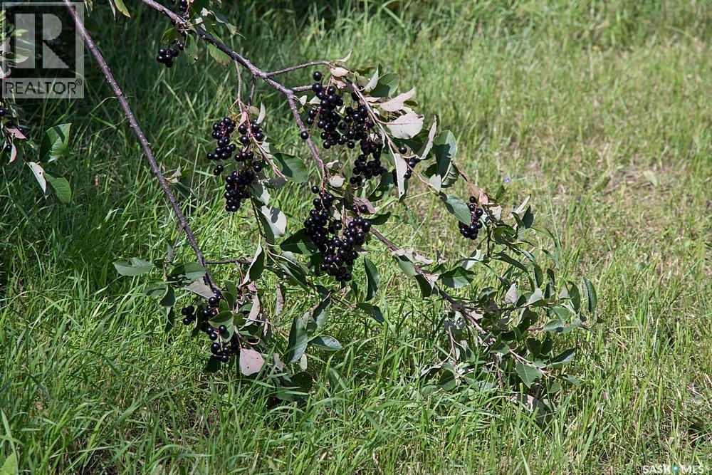 Kondra Acreage, Corman Park Rm No. 344, Saskatchewan  S7K 3J5 - Photo 38 - SK020762