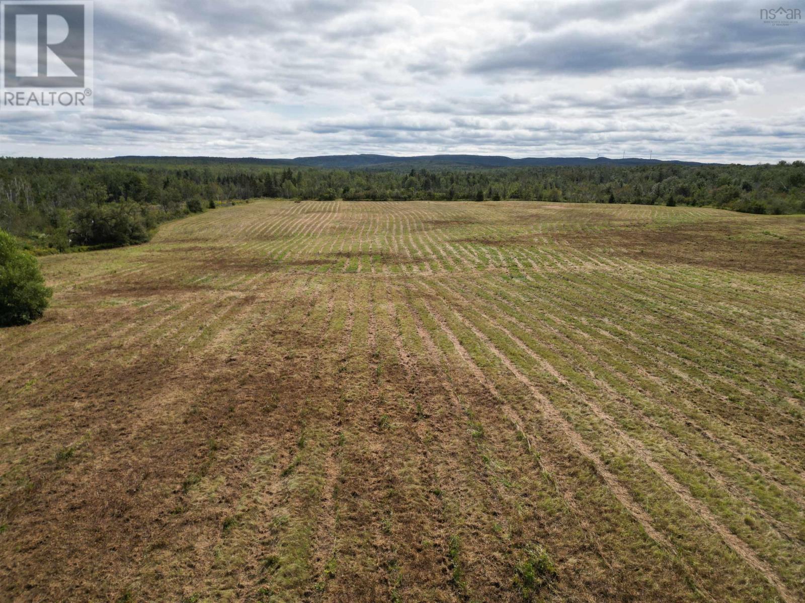 Land Shore Road, Lower Barneys River, Nova Scotia  B0K 1G0 - Photo 8 - 202526236