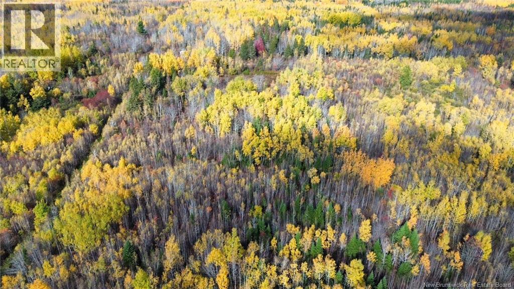 Lot Saint Augustin Road, Adamsville, New Brunswick  E4T 2E9 - Photo 14 - NB125889