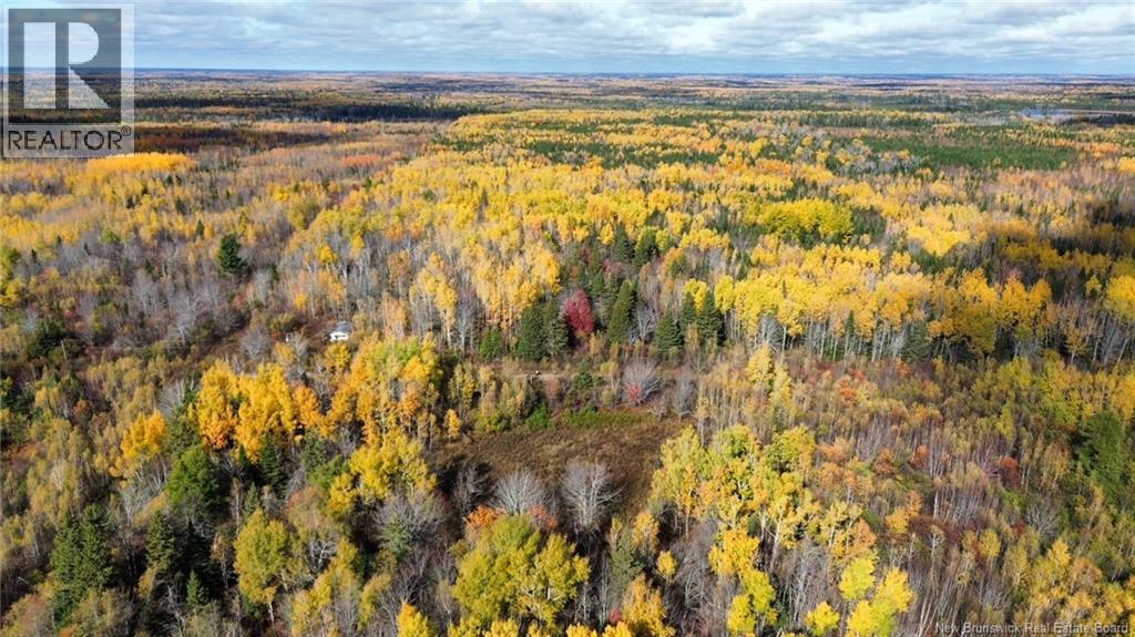 Lot Saint Augustin Road, Adamsville, New Brunswick  E4T 2E9 - Photo 13 - NB125889