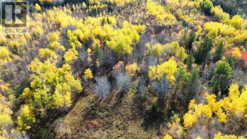 Lot Saint Augustin Road, Adamsville, New Brunswick  E4T 2E9 - Photo 8 - NB125889