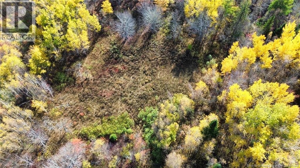 Lot Saint Augustin Road, Adamsville, New Brunswick  E4T 2E9 - Photo 5 - NB125889