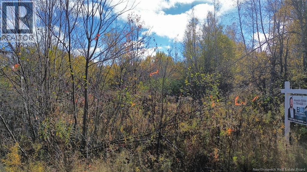 Lot Saint Augustin Road, Adamsville, New Brunswick  E4T 2E9 - Photo 4 - NB125889