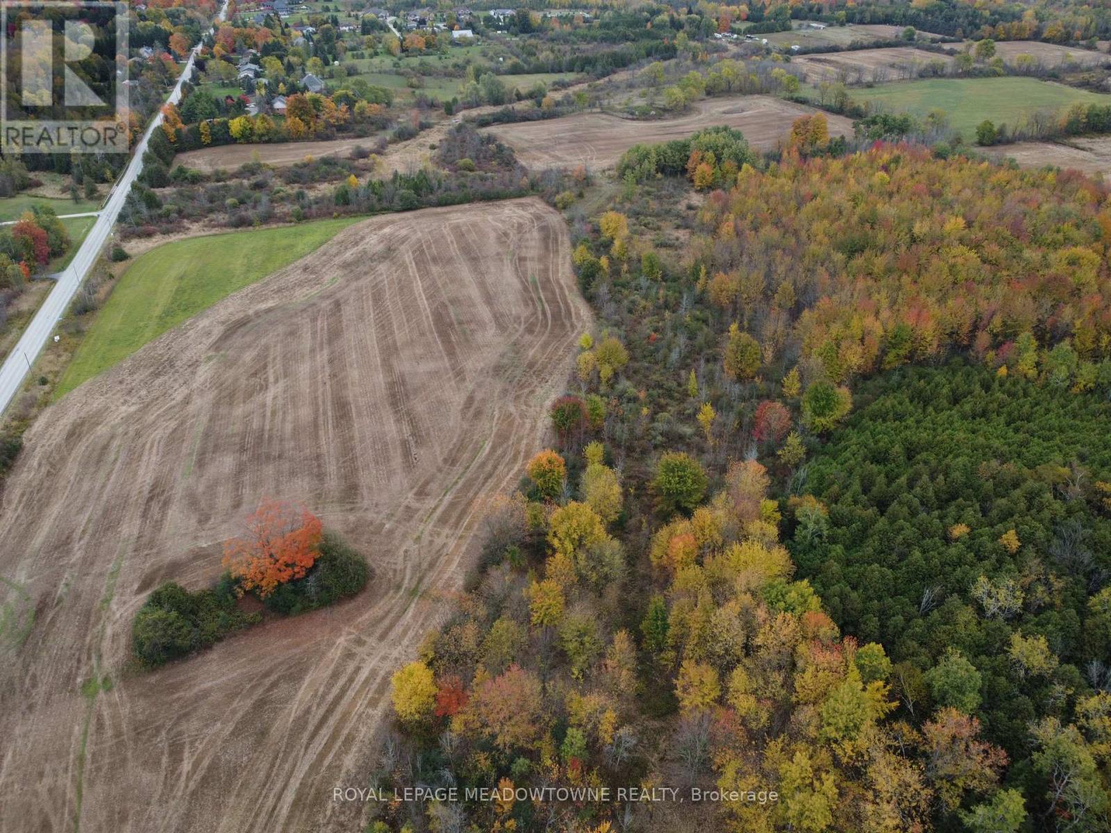 11080 First Nassagaweya Line, Milton, Ontario  L0P 1J0 - Photo 6 - W12322619