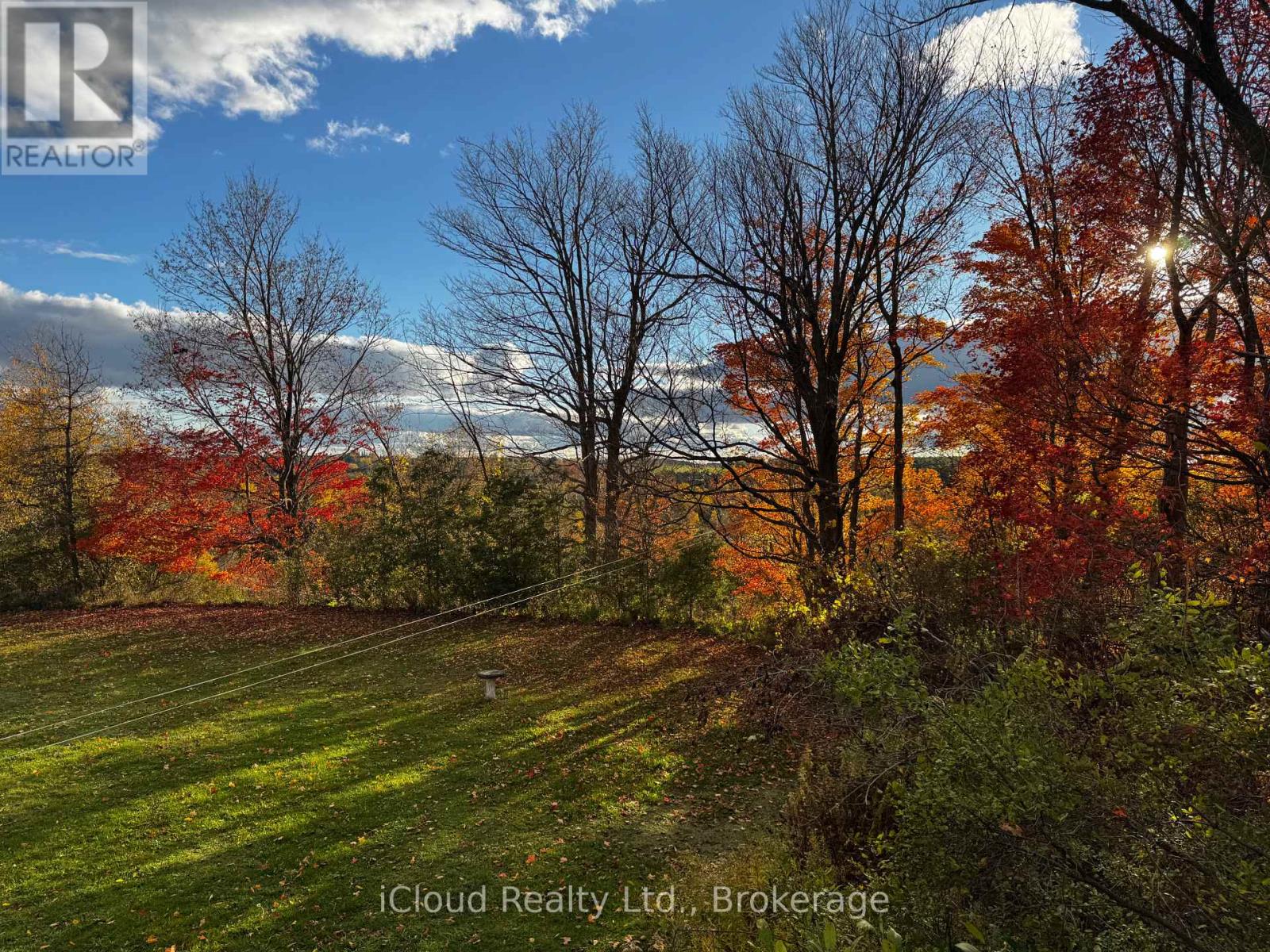 29 Grand View Road, Amaranth, Ontario  L9W 5L9 - Photo 6 - X12472952