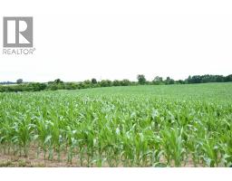 15686 MUIRKIRK LINE, Muirkirk, Ontario