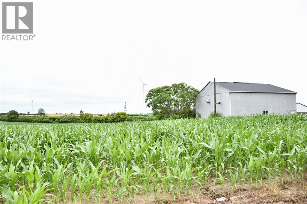 15686 Muirkirk Line, Muirkirk, Ontario  N0L 1X0 - Photo 10 - 25016912