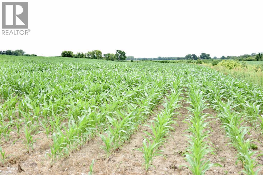 15686 Muirkirk Line, Muirkirk, Ontario  N0L 1X0 - Photo 4 - 25016912