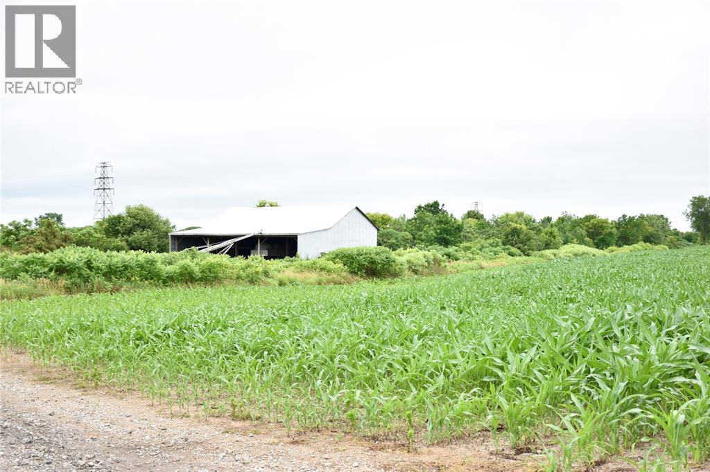 15686 Muirkirk Line, Muirkirk, Ontario  N0L 1X0 - Photo 7 - 25016912