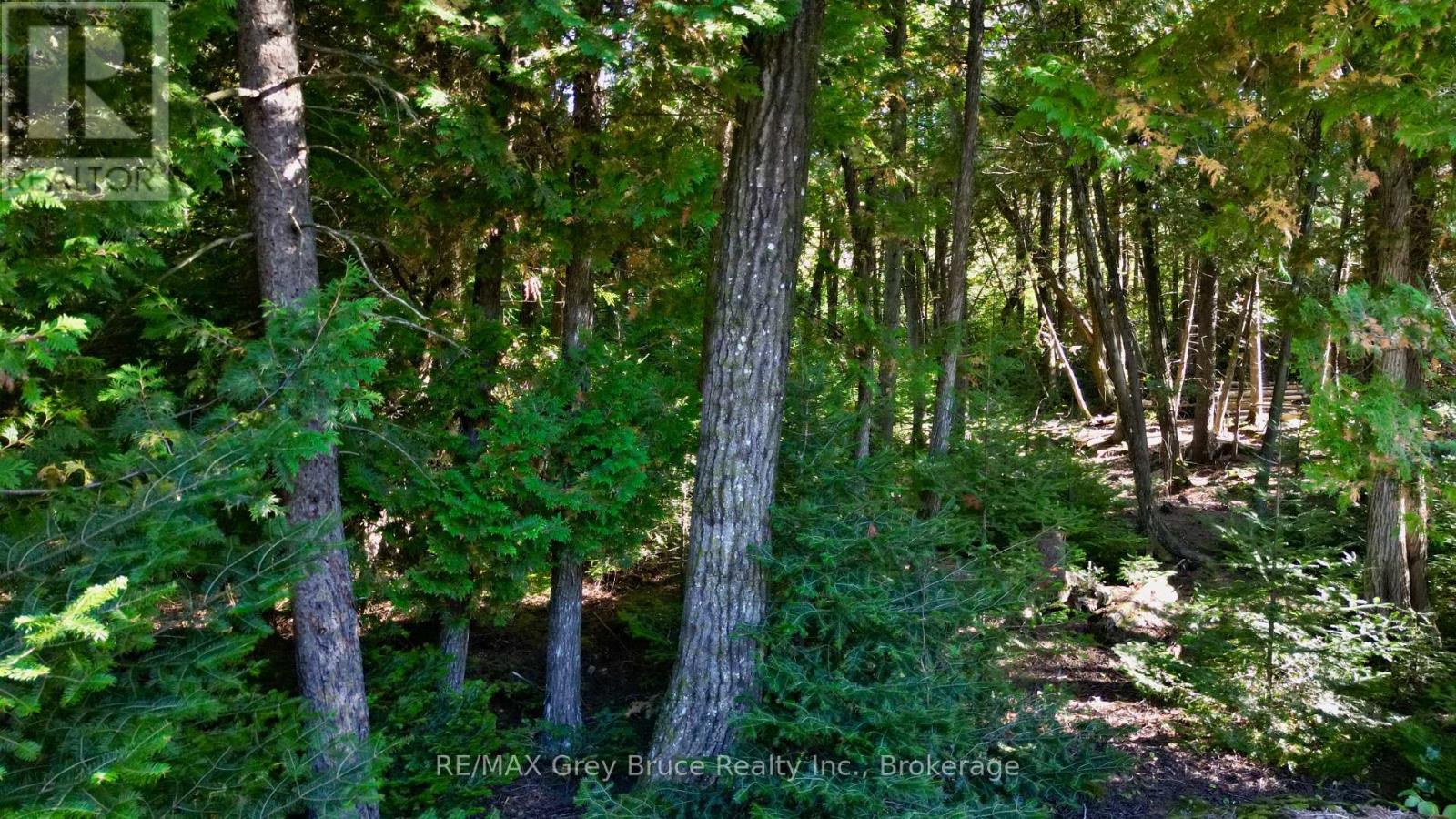 51 Lakewood Country Lane, Northern Bruce Peninsula, Ontario  N0H 1W0 - Photo 14 - X12472981