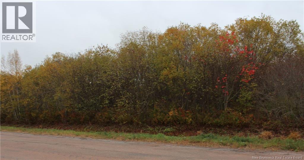 Lot 87-2 Kinnear Road, Cormier Village, New Brunswick  E4P 5X8 - Photo 1 - NB128887